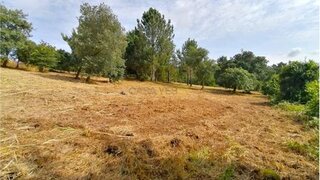 Land for sale in Óbidos, Portugal — €424,600