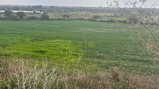 Land for sale in Estarreja, Portugal — €369,000