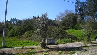Land for sale in Albergaria-a-Velha, Portugal — €25,000