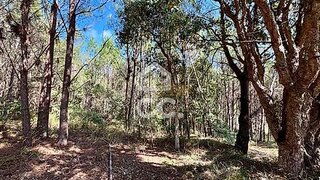Land for sale in Caldas da Rainha, Portugal — €25,000