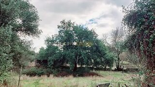 Terreno em Penamacor