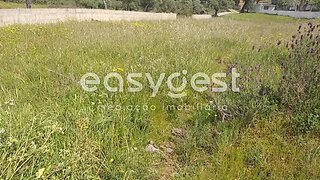 Land for sale in Castelo Branco, Portugal — €42,500