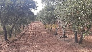 Land for sale in Ourique, Portugal — €185,000