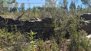 Terreno em Castelo Branco · 1400 m² · 6000 €