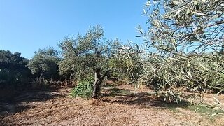 Land for sale in Penamacor, Portugal — €19,900