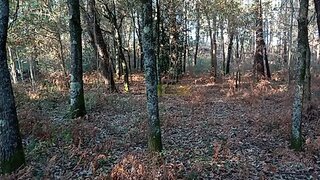 Land for sale in Vila Verde, Portugal — €23,500