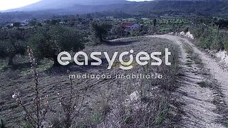 Land for sale in Torres Novas, Portugal — €11,000