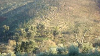 Terreno · 3600 m² · 4500 €