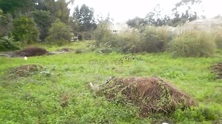 Land for sale in Vila Nova de Gaia, Portugal — €265,000