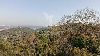 Land for sale in Santiago do Cacém, Portugal — €900,000
