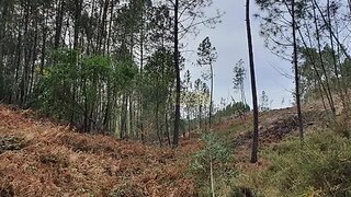 Land for sale in Terras de Bouro, Portugal — €39,000