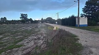 Land for sale in Alcácer do Sal, Portugal — €135,000