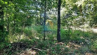 Terreno para venda em Fafe, Portugal — 25 000 €