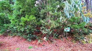Land for sale in Caminha, Portugal — €75,000