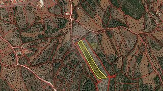 Land for sale in Torres Novas, Portugal — €3,450