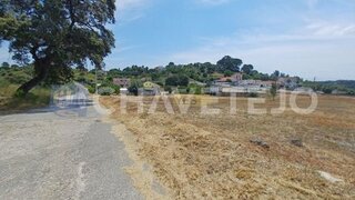 Land for sale in Tomar, Portugal — €70,000