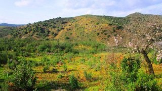 Land for sale in Castro Marim, Portugal — €20,000