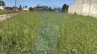 Land for sale in Oliveira do Bairro, Portugal — €45,000
