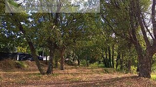Land for sale in Fundão, Portugal — €210,000