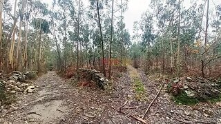 Land for sale in Vila do Conde, Portugal — €106,500