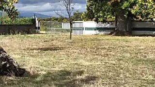 Terreno de 10 000 m² em Bragança