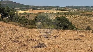 Terreno em Mirandela