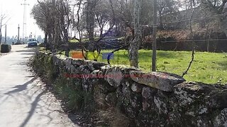 Land for sale in Cabeceiras de Basto, Portugal — €60,000