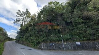 Terreno de 9480 m² em Coimbra