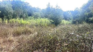 Land for sale in Loures, Portugal — €50,000