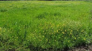 Terreno de 4137 m² em Viana do Castelo