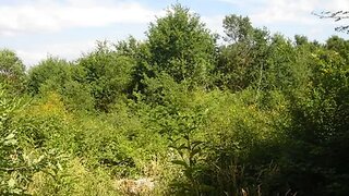 Land for sale in Vila Verde, Portugal — €275,000