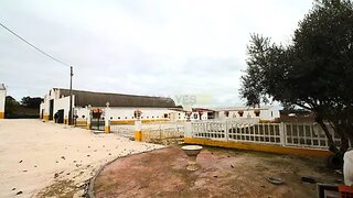 Land for sale in Sousel, Portugal — €395,000