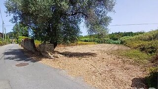 Land for sale in Vagos, Portugal — €42,500