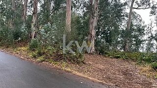 Terreno em Ponta do Sol