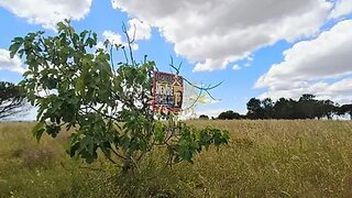 Terreno em Palmela