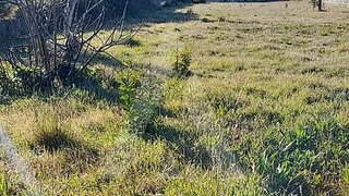 Land for sale in Vagos, Portugal — €42,000
