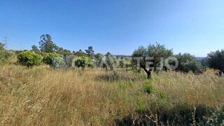 Land for sale in Tomar, Portugal — €50,000