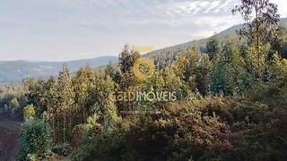 Land for sale in Castelo de Paiva, Portugal — €55,000