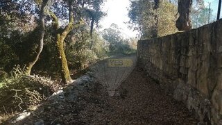Land for sale in Alcobaça, Portugal — €27,000