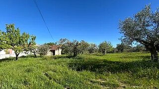 Land for sale in Tomar, Portugal — €64,500