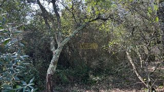 Land for sale in Porto de Mós, Portugal — €3,880