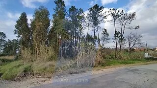 Land for sale in Oliveira do Bairro, Portugal — €50,000