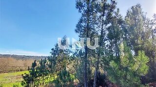 Terreno em Viseu · 1808 m² · 40 000 €