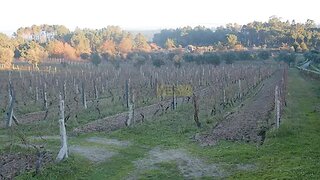 Land for sale in Gouveia, Portugal — €429,000