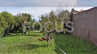 Terreno para venda em Anadia, Portugal — 63 500 €