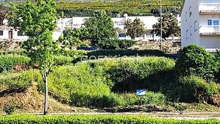Land for sale in Torre de Moncorvo, Portugal — €35,000