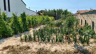 Terreno para venda em Ílhavo, Portugal — 75 000 €