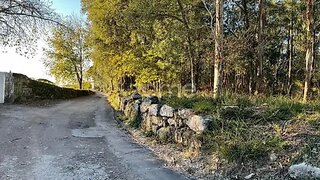 Terreno de 38 100 m² em Viana do Castelo