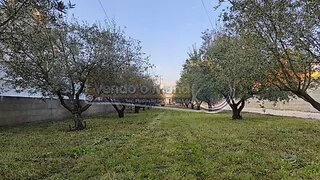 Land for sale in Salvaterra de Magos, Portugal — €85,000