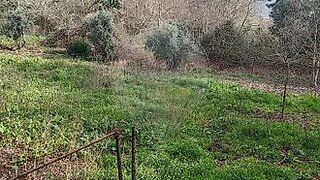 Terreno · 790 m² · 6000 €
